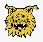 Ilves
