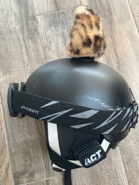 Sensor attached to a ski helmet